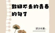 青春已去已不再年轻的句子（人到中年怀念青春的诗句）