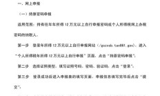 所得税申报（个人所得税怎么申报）