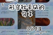 秋天的风怎么形容（秋天的风是什么特点）
