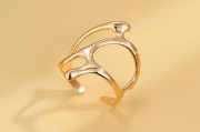 rings怎么读（ring和rings的区别）