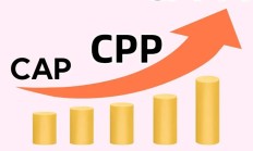 cpp是什么意思（cpp的隐晦意思）