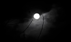 月黑风高夜（夜黑风高还是月黑风高夜）