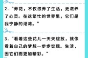 养花闲意唯美句子（关于养花的唯美短句）