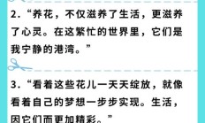 养花闲意唯美句子（关于养花的唯美短句）