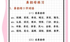 嗓组词（嗓怎么组词）