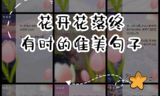 小院的花开了唯美句子（自家小院花开的说说）