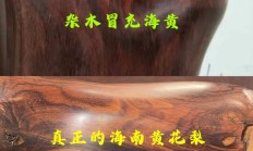 海南黄花梨多少钱一公斤（黄花梨价格表最新报价）