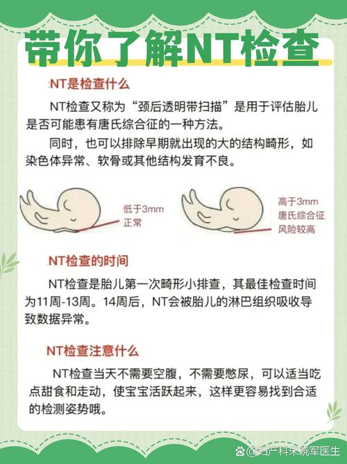 骂人说nt是什么意思(NT代表什么意思)