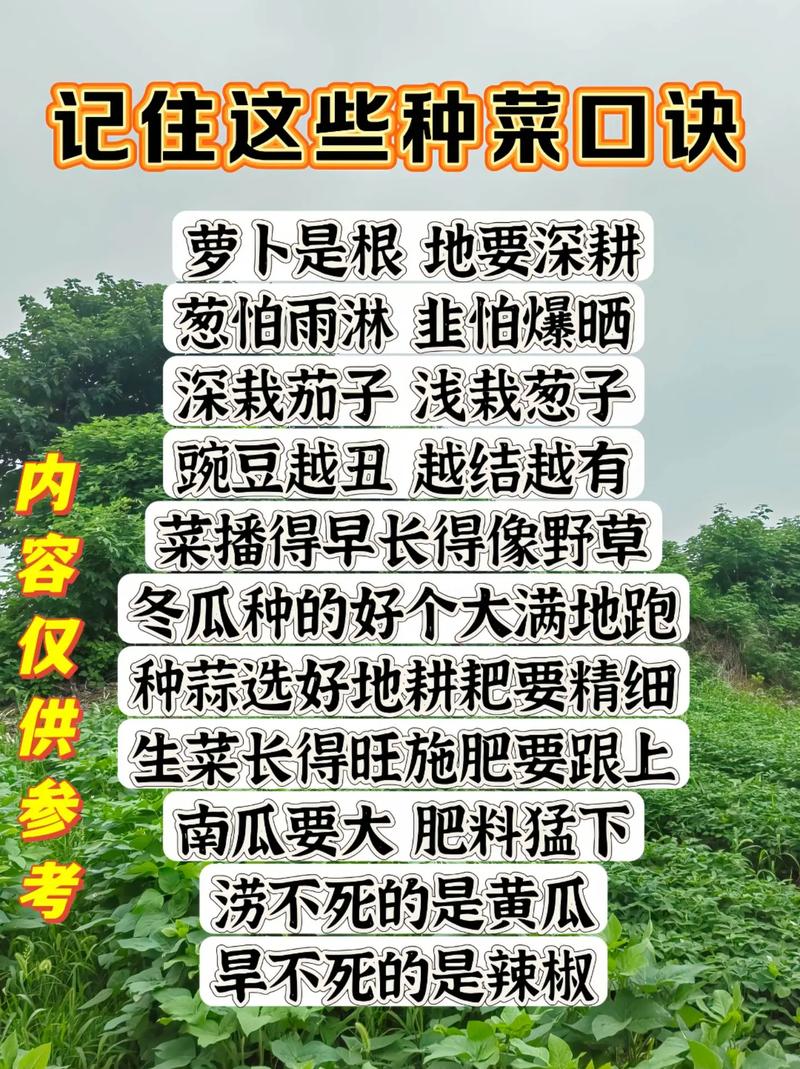 自己种的菜发朋友圈怎么写(自种的菜园心情诗句)