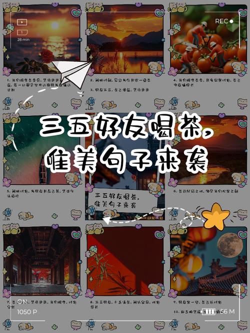 三五好友(三五好友文案)