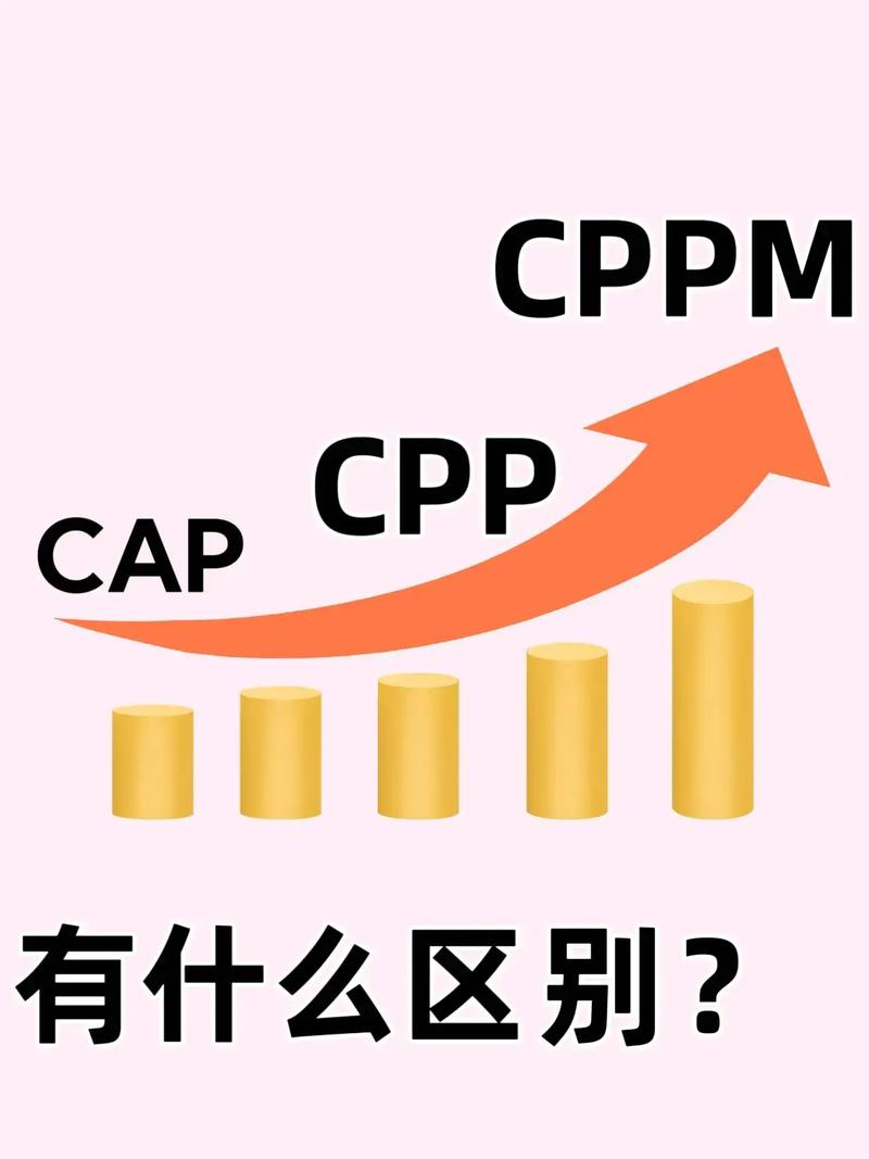 cpp是什么意思(cpp的隐晦意思)