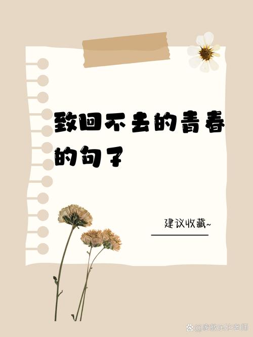青春已去已不再年轻的句子(人到中年怀念青春的诗句)