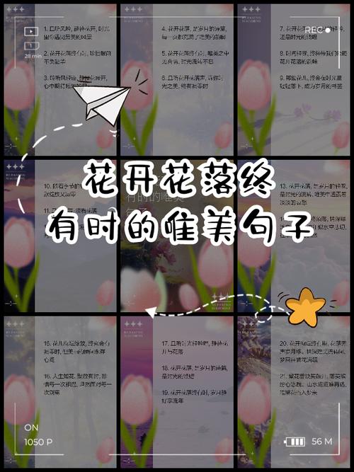小院的花开了唯美句子(自家小院花开的说说)
