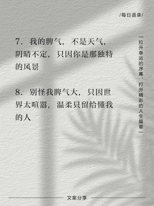 说脾气不好的唯美句子(好脾气最经典十句话)